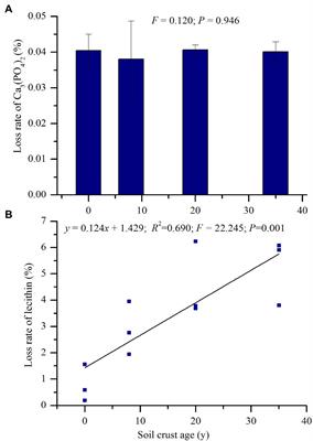 Dynamics of phoD- and gcd-Harboring Microbial Communities Across an Age Sequence of Biological Soil Crusts Under Sand-Fixation Plantation